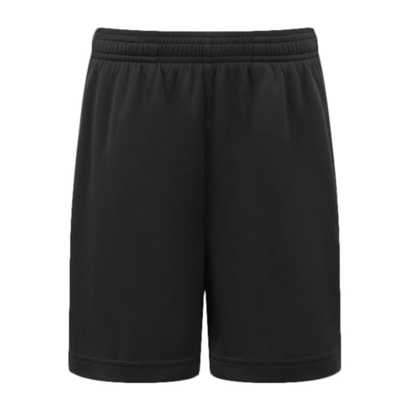 Kids TriDri® ion-charge performance shorts Thumbnail