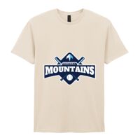 Softstyle™ adult ringspun t-shirt Thumbnail