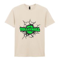 Softstyle™ adult ringspun t-shirt Thumbnail