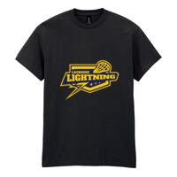 Heavy Cotton™ adult t-shirt Thumbnail