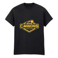 Heavy Cotton™ adult t-shirt Thumbnail