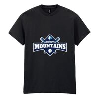 Heavy Cotton™ adult t-shirt Thumbnail