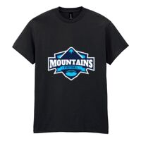 Heavy Cotton™ adult t-shirt Thumbnail