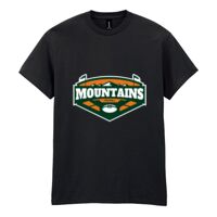 Heavy Cotton™ adult t-shirt Thumbnail