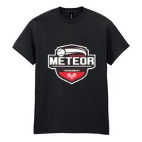 Heavy Cotton™ adult t-shirt Thumbnail