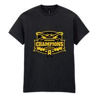 Heavy Cotton™ adult t-shirt Thumbnail