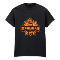 Heavy Cotton™ adult t-shirt Thumbnail