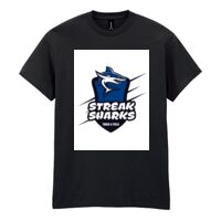 Heavy Cotton™ adult t-shirt Thumbnail