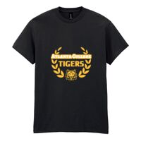 Heavy Cotton™ adult t-shirt Thumbnail