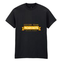 Heavy Cotton™ adult t-shirt Thumbnail