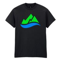 Heavy Cotton™ adult t-shirt Thumbnail