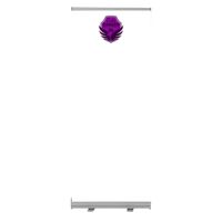 850mm Wide Pull Up Banner Thumbnail